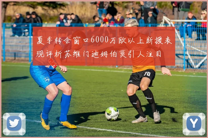 夏季转会窗口6000万欧以上新援表现评析苏维门迪姆伯莫引人注目