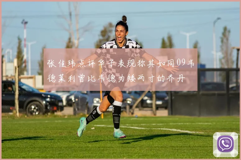 张佳玮点评华子表现称其如同09韦德莱利曾比韦德为矮两寸的乔丹