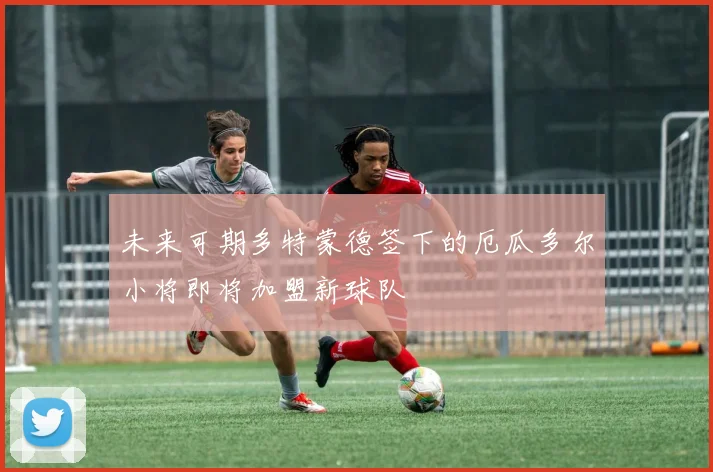 未来可期多特蒙德签下的厄瓜多尔小将即将加盟新球队