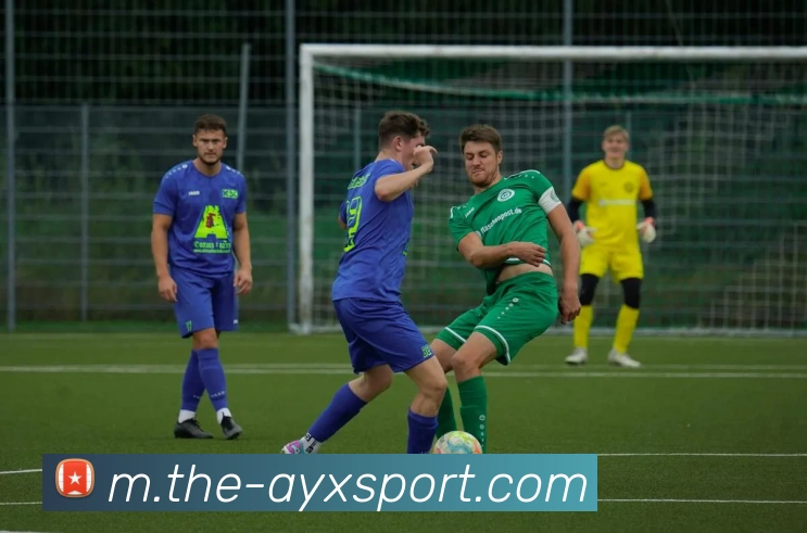 爱游戏体育平台生态图