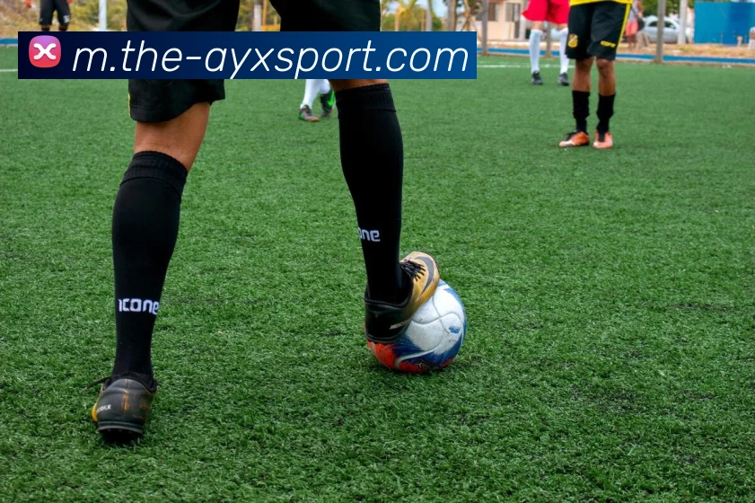 爱游戏体育APP 封面图